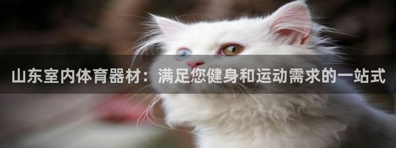 尊龙凯时白家乐Abb下载