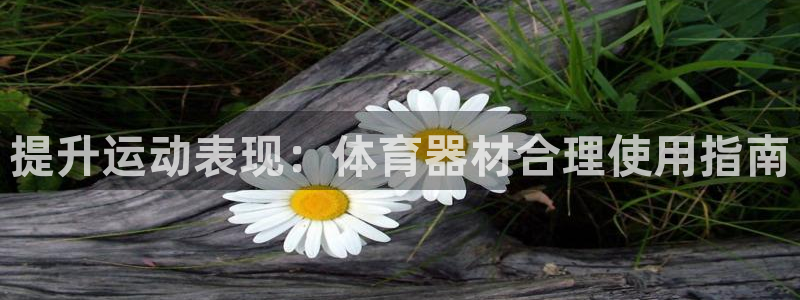 尊龙官网地址