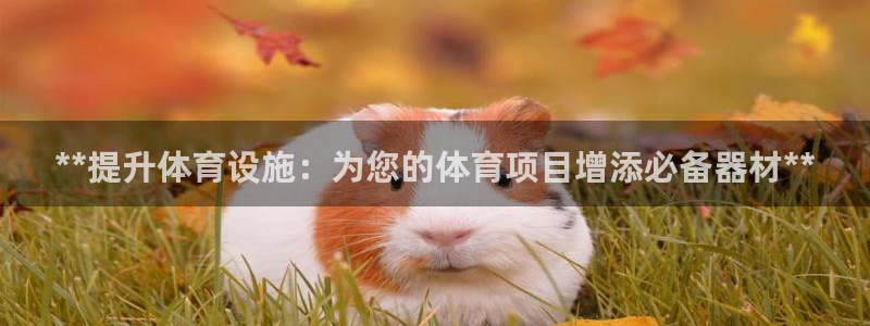 尊龙凯时处理未到账