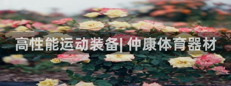 尊龙凯时vip