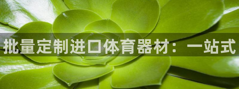 尊龙游戏官网游戏特色
