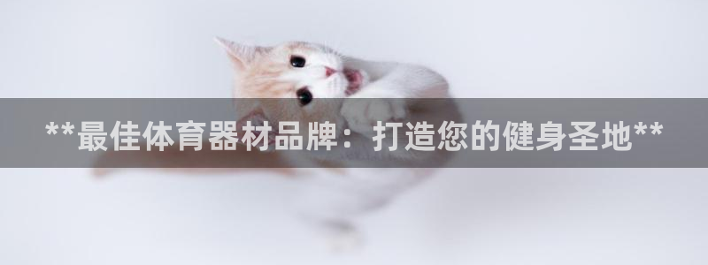 尊龙凯时人生就是搏技术实力