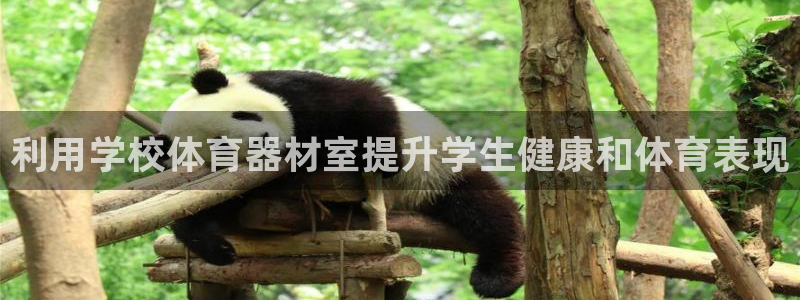 尊龙最经典的三个角色