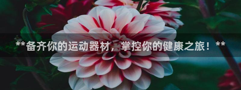 尊龙凯时返现