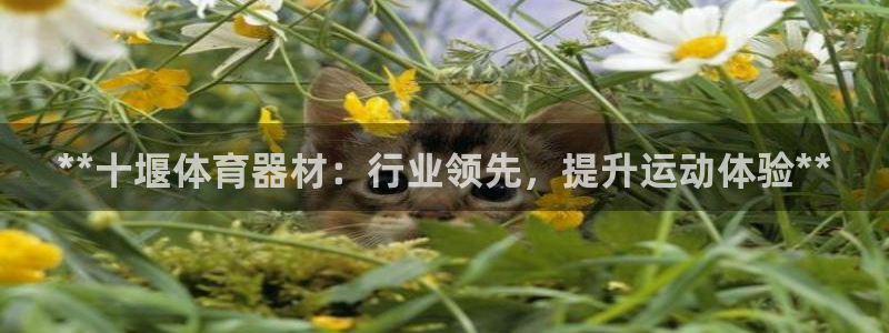 尊龙凯时网站是什么地方人开的