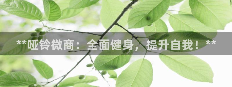 尊龙凯时登入首页