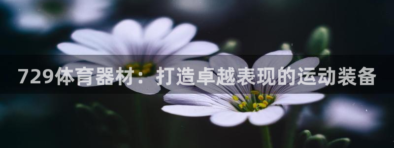 尊龙官方APP下载