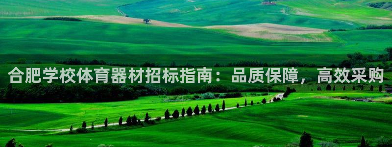 凯时APP官网首页