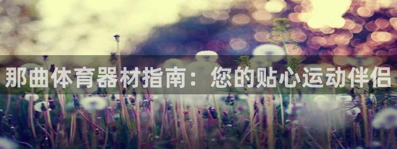 凯时官网手机版下载