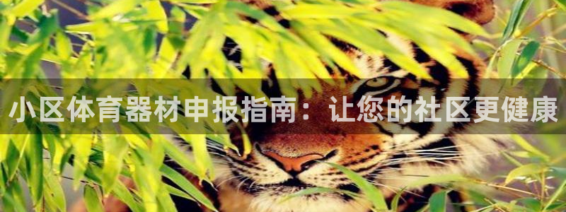凯时kb88kb88