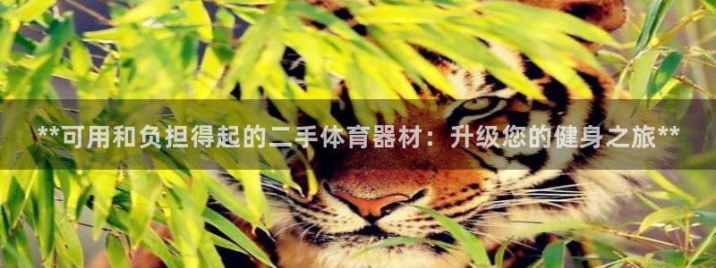 尊龙d88手机版下载