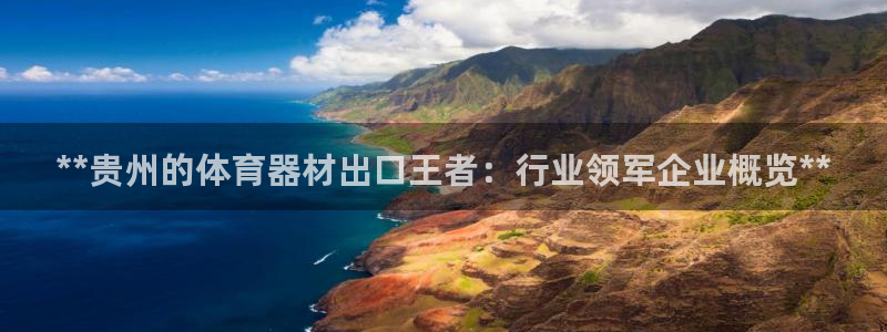 尊龙凯时代理官网入口
