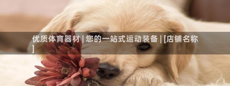 凯时平台怎么样