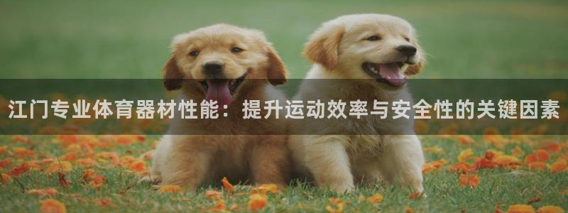 尊龙人生就是博旧版
