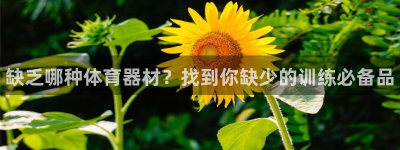 尊龙现金一下S选来就送38