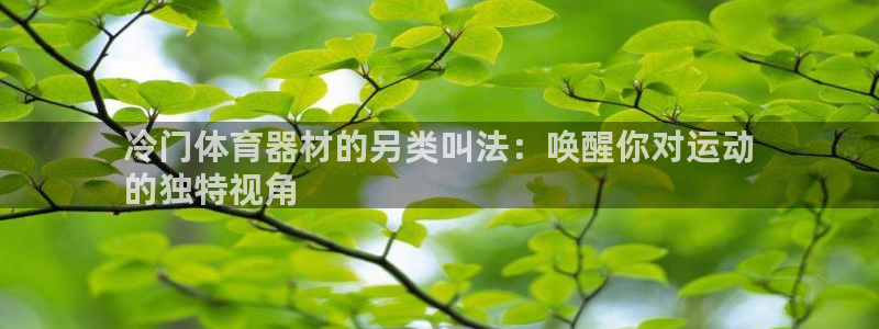 尊龙凯时ag旗舰厅官方网站