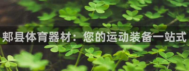 尊龙凯时老板是谁