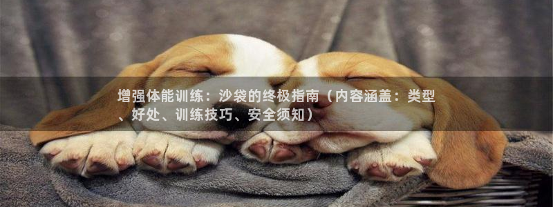 尊龙旗舰厅app