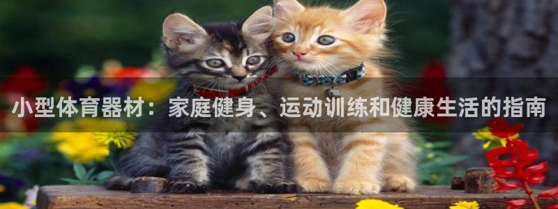 尊龙集团有限公司官网