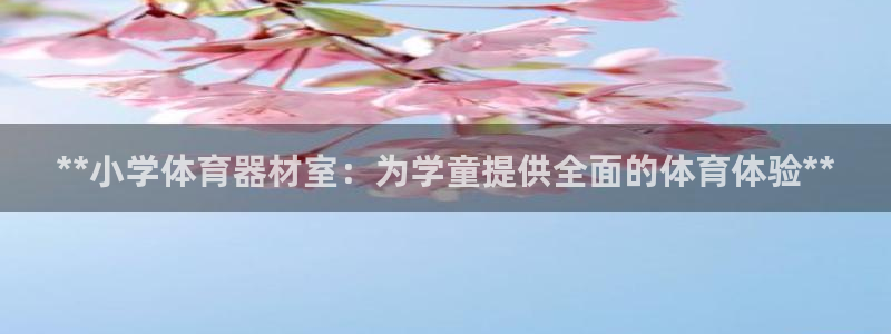 凯时平台怎么样