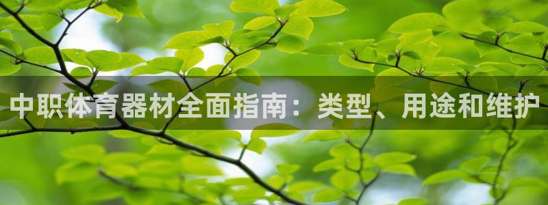 凯时效果怎么样