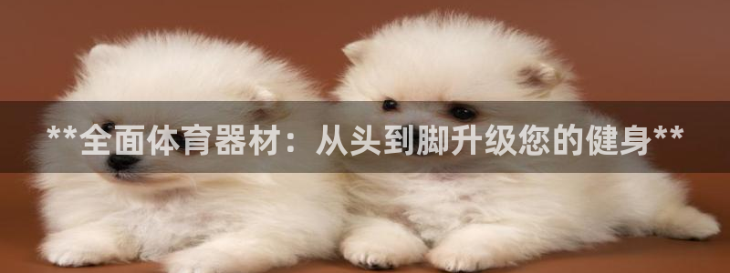 尊龙凯时有封银行卡的吗：**全面体育器材：从头到脚升级您的健