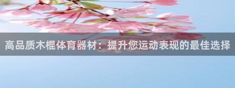 尊龙z6