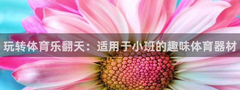 尊龙凯时提不了款