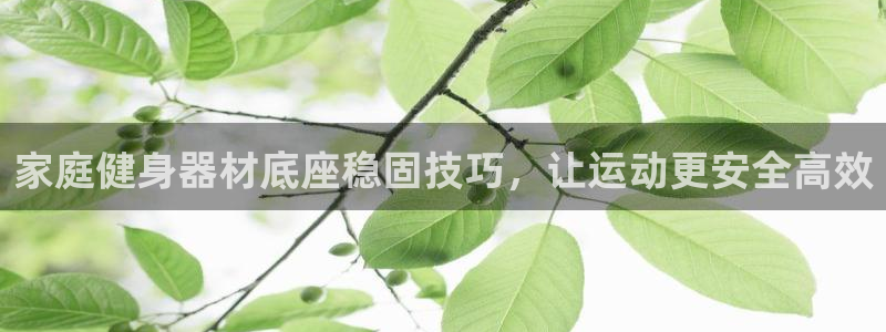 尊龙AG旗舰店