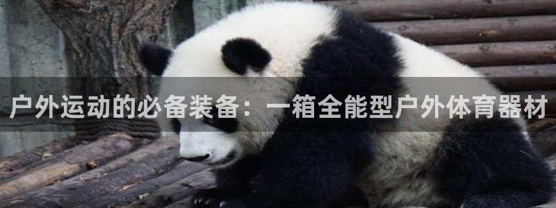 凯时平台怎么样