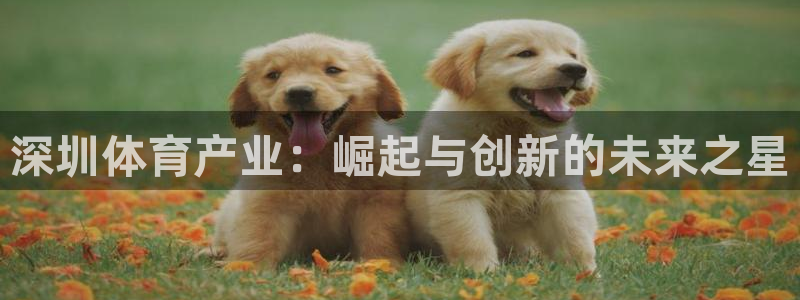 尊龙app怎么样