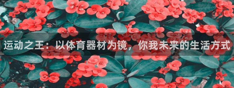 尊龙人生就是博旧版现