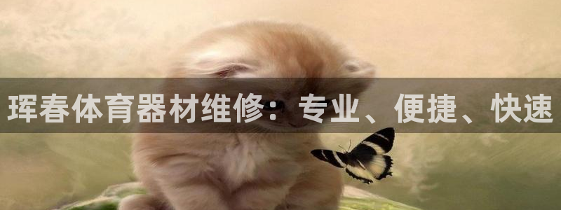 尊龙官网登录·(中国)官方网站-bd SPORTS