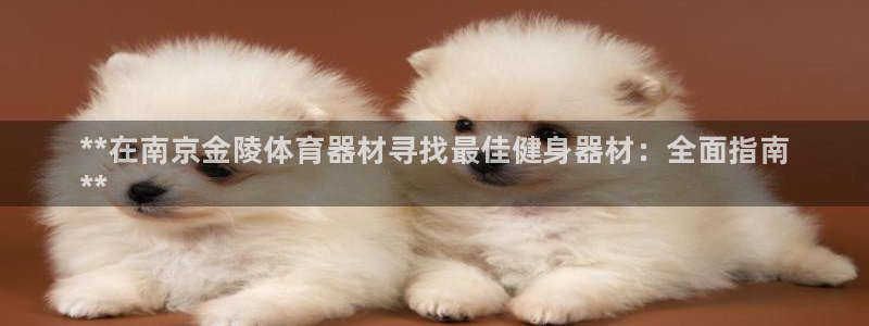 尊龙人生就是博现金：**在南京金陵体育器材寻找最佳健身器材：