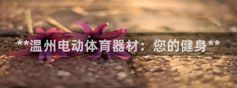 尊龙凯时口碑好吗：**温州电动体育器材：您的健身**