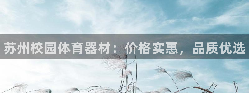 尊龙凯时app官方网站：苏州校园体育器材：价格实惠，品质优选