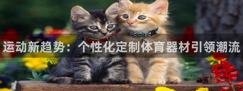 尊龙实业有限公司属于国企吗