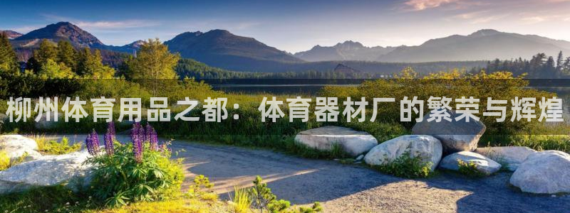 尊龙官网国际：柳州体育用品之都：体育器材厂的繁荣与辉煌