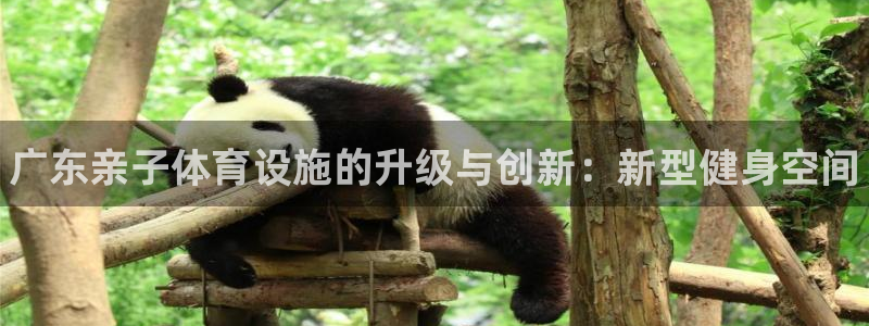 凯时平台怎么样